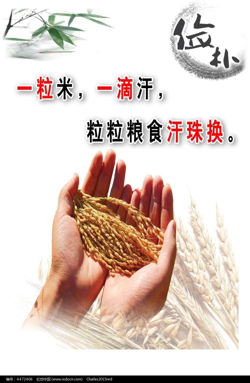 怎么买日本四國大學成绩单